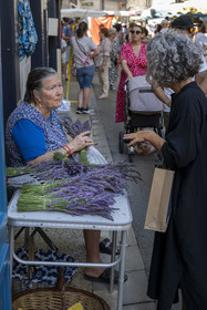 France, Bouches du Rhone, Regional Natural Park of the Alpilles, Saint Remy de Provence, lavender bouquet seller on the market place Jules Pellissier