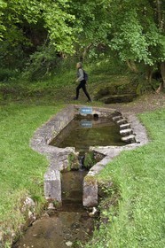 France, Charente-Maritime (17), Saint-Sauvant, lavoir de la Font Benite