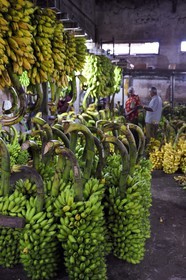 Sri Lanka, province de l'ouest, district de Colombo, Colombo, le marché de fruits et légumes Manning dans le quartier de Pettah