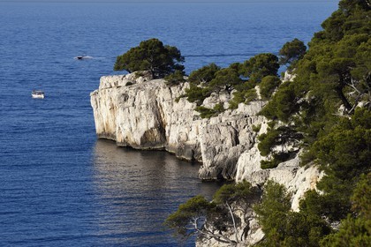 France, Bouches du Rhone, Marseille, National Park of the Calanques, the En Vau Point at the end of the Calanque de Port Pin (cove) (request for authorization necessary before publication)