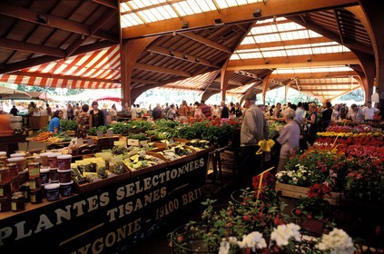 France, Correze, Brive la Gaillarde, the market