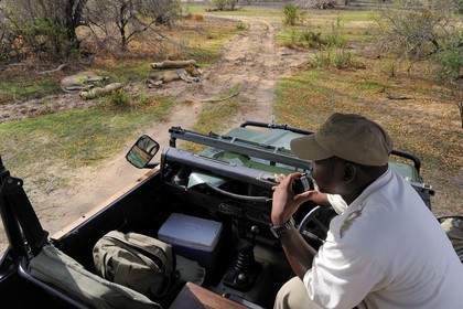 Tanzanie, Reserve de gibier de Selous une des plus grandes zones protégées au monde et inscrite sur la liste du patrimoine mondial de l’Unesco depuis 1982, le rangers du Selous Camp Mohamed Muhunyunja observe une famille de lions (Panthera leo) depuis le 4x4