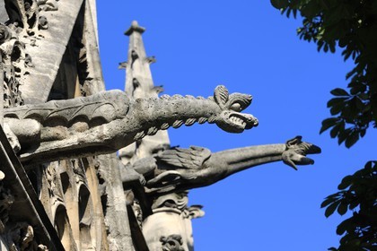 France, Paris (75), Eglise Saint-Séverin