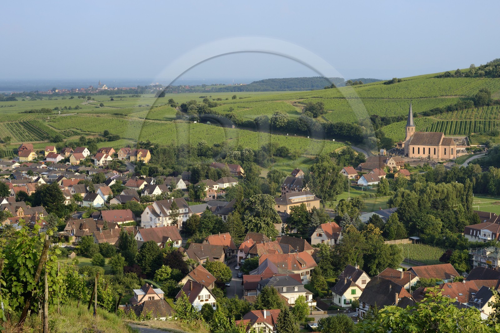 France, Bas-Rhin (67), Route des Vins d'Alsace, Andlau, la chapelle Saint-André et le vignoble