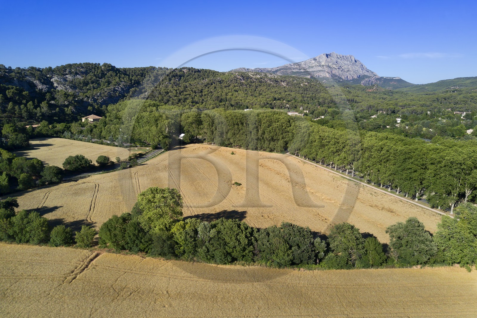 France, Bouches du Rhone, Aix en Provence region, towards the Tholonet, barley field in front of the Sainte Victoire mountain, Cezanne road (aerial view)