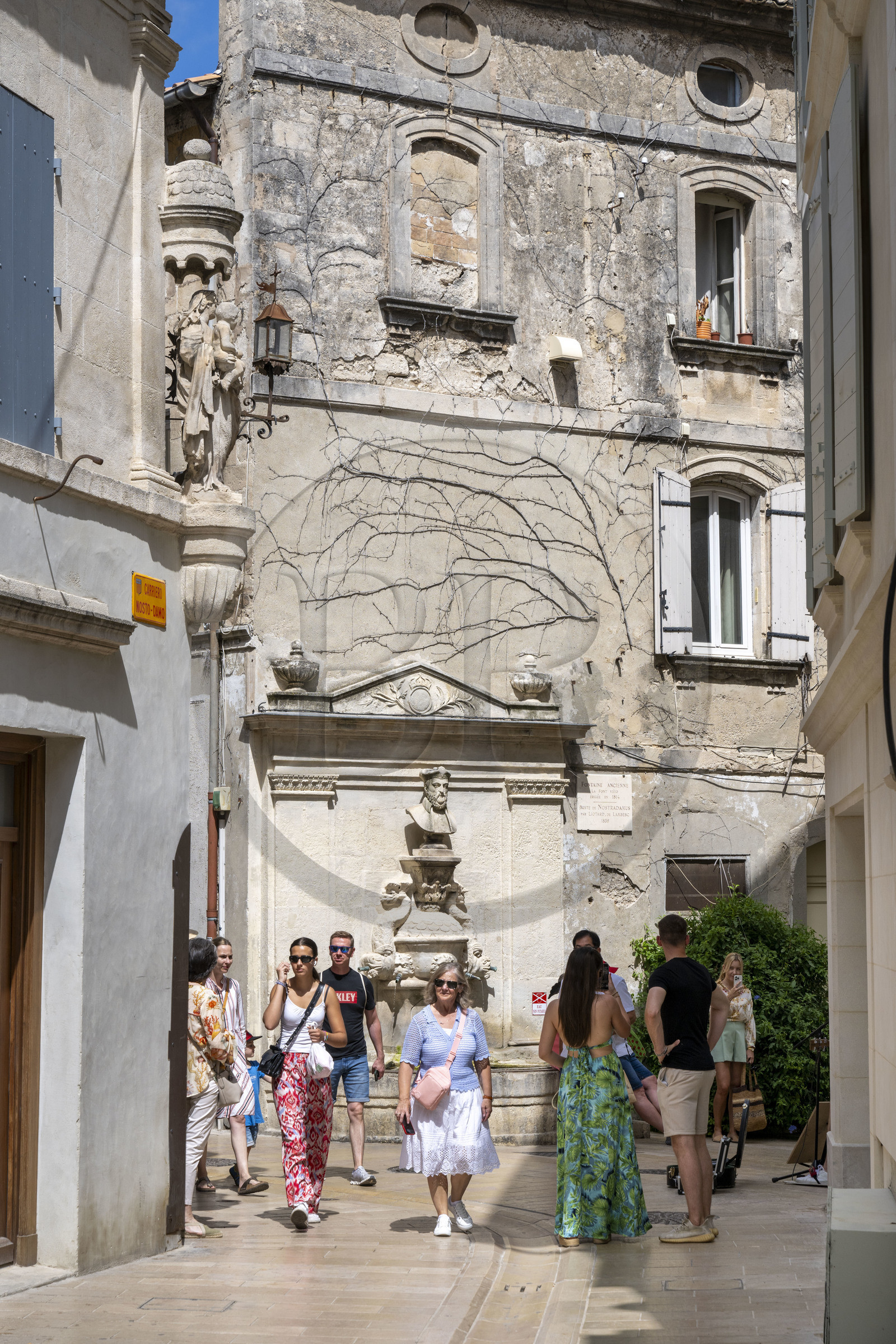France, Bouches-du-Rhône (13), Parc Naturel Régional des Alpilles, Saint-Rémy-de-Provence, la Font Vieio alias la fontaine Nostradamus