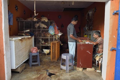 Sri Lanka, province de l'ouest, district de Colombo, Colombo, le marché de volailles dans le quartier de Pettah