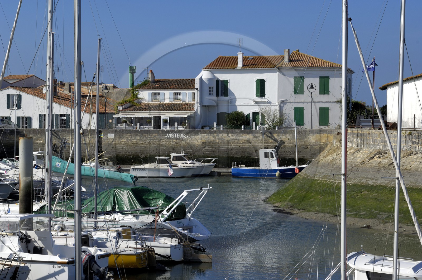 France, Charente-Maritime (17), ile de Ré, le port d' Ars-en-Ré