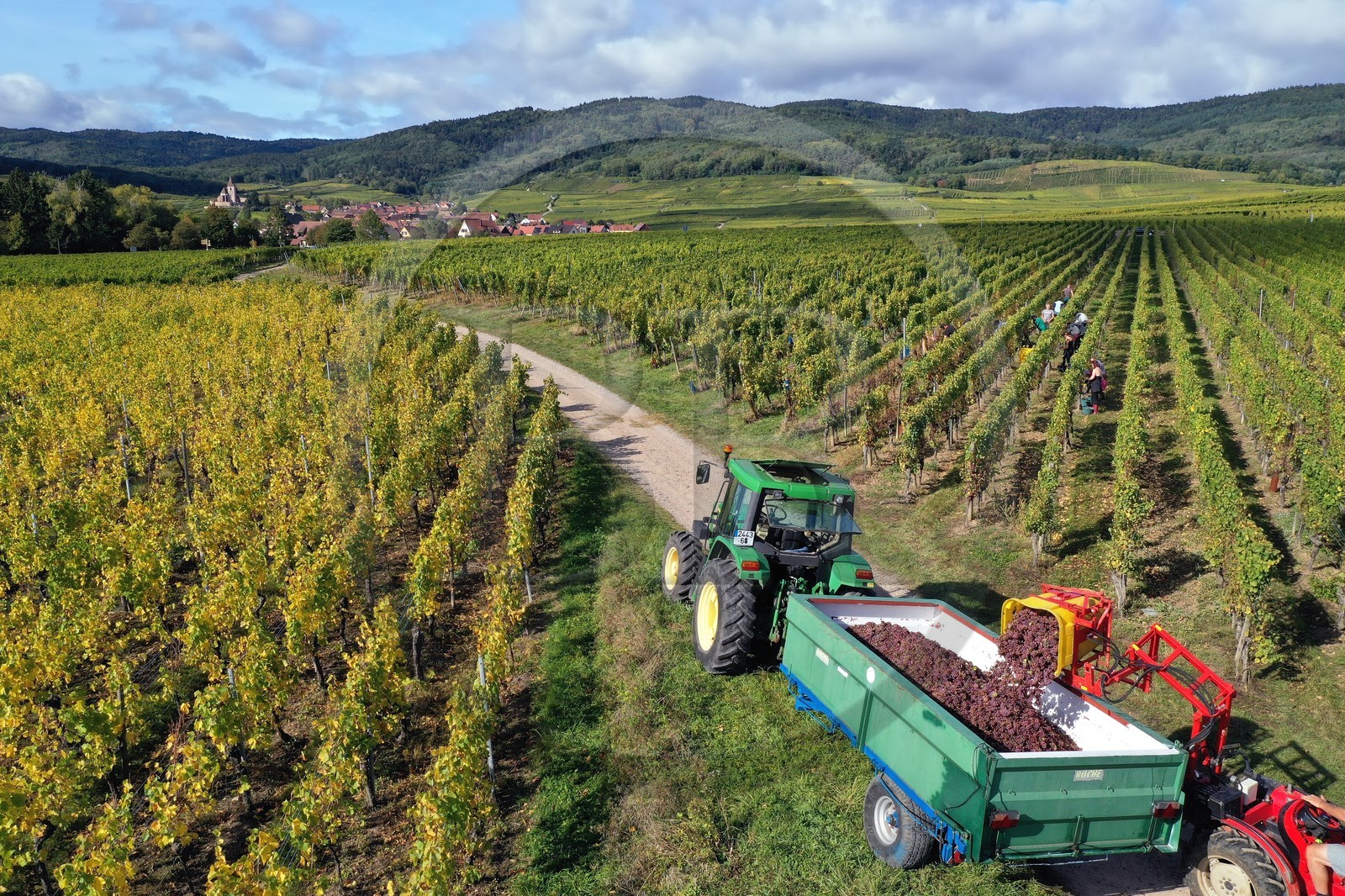 France, Haut-Rhin (68), Route des vins d'Alsace, Ribeauvill