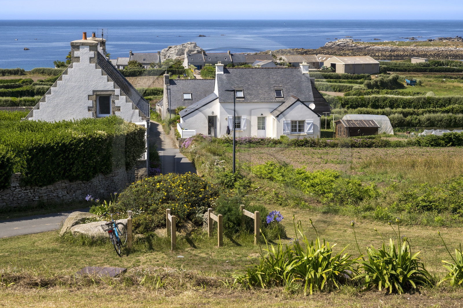France, Finistère (29), Iles du Ponant, Ile de Batz, hameau de la côte nord ouest