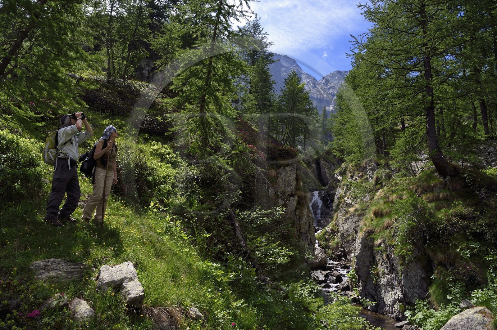France, Alpes-Maritimes (06), parc national du Mercantour, vallée de la Valmasque,