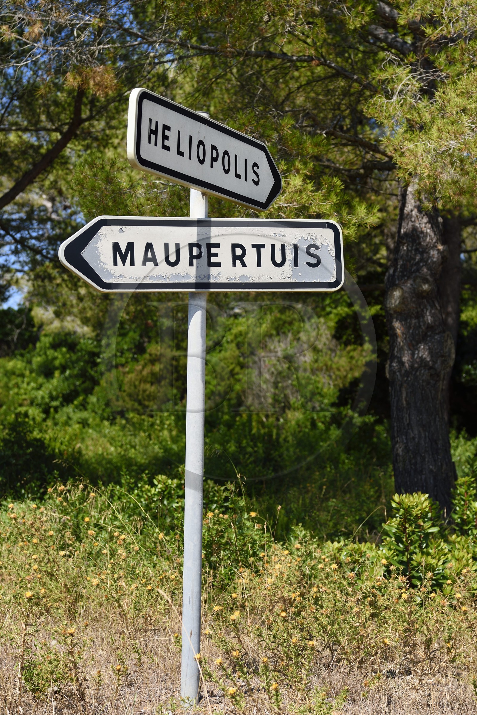 France, Var (83), Iles d'Hyères, Parc national de Port Cros, Ile du Levant, zone militaire, panneau indicateur