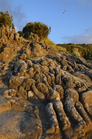 France, Ille-et-Vilaine (35), Saint-Malo, Rothéneuf, rochers sculpté par l'abbé Fouré entre 1870 et 1904