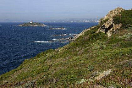 France, Var, Ile des Embiez, Pointe du Coucoussa, in the background of Grand Rouveau Island and the mainland