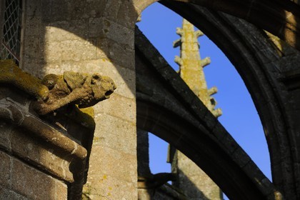 France, Manche, the abbey of Mont Saint Michel, listed as World Heritage by UNESCO, the gargoyles of the church