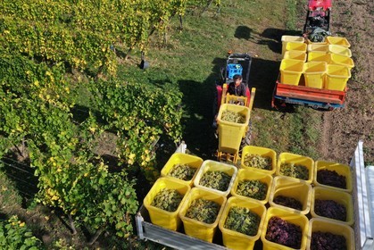 France, Haut-Rhin (68), Route des vins d'Alsace, Ribeauvill