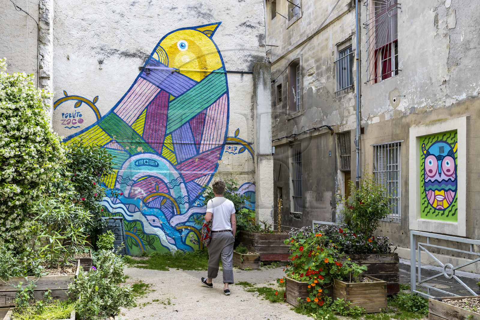 France, Vaucluse (84), Avignon, l'artiste grapheur Pablito Zago devant la peinture murale de l’oiseau qu'il a réalisé, fondateur de l’association le Cartel et de l’atelier Shed