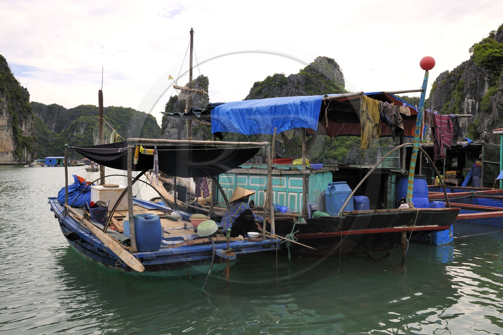 Vietnam, province de Quang Ninh, la Baie d'Halong classée Patrimoine Mondial de l'UNESCO, village flottant de pêcheurs de Vong Vieng