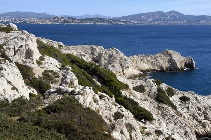 France, Bouches-du-Rhône (13), Marseille, Parc National des Calanques, Archipel des Iles du Frioul, Ile de Pomègues et la skyline de Marseille en arrière plan