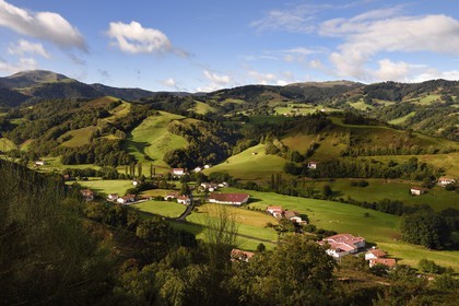 France, Pyrénées-Atlantiques (64), Pays-Basque, vallée des Aldudes, élevage Pierre Oteiza de porcs basques de race pie noir en bas à droite et le mont Ahadi en arrière plan gauche