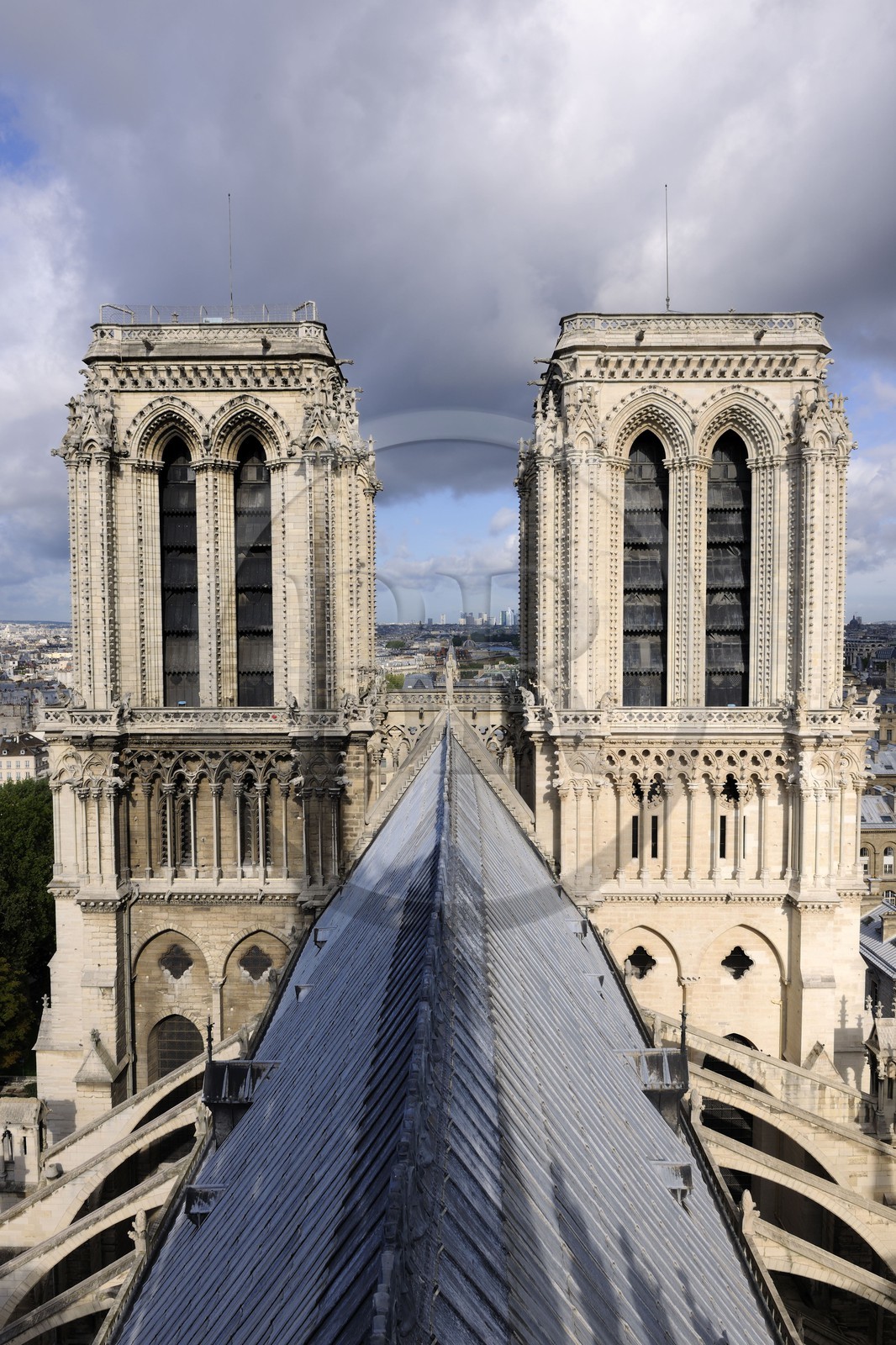 France, Paris (75), île de la Cité, la cathédrale Notre-Dame