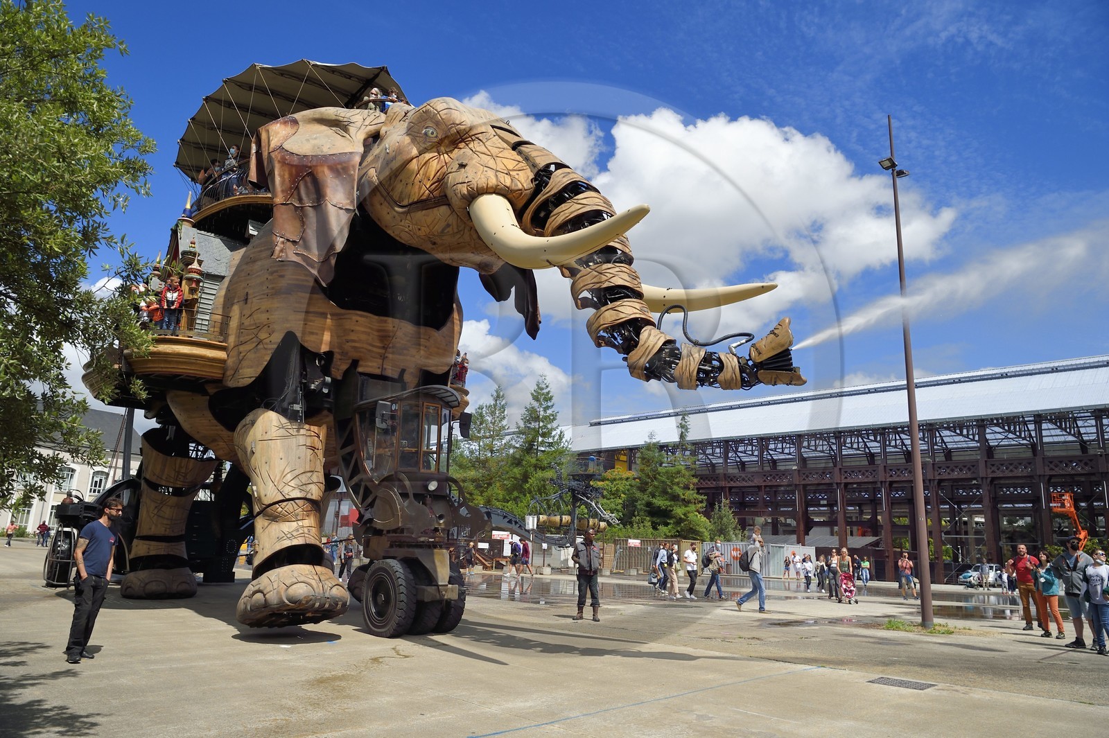 France, Loire-Atlantique (44), Nantes, Les Machines de l'Ile, projet artistique conçu par François Delarozière et Pierre Orefice, le Grand Eléphant et les hangars des anciens chantiers navals en arrière plan