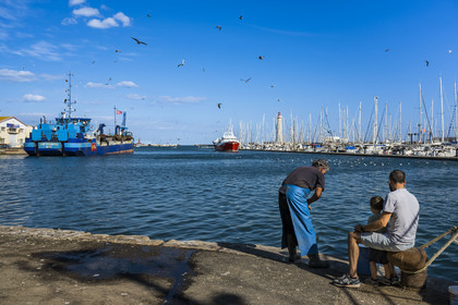 France, Hérault (34), Sète, retour des chalutiers de leur journée de pêche suivis de leur cortège de gabians (goélands) et le phare du mole Saint-Louis en arrière-plan