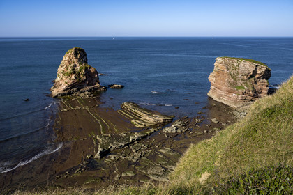 France, Pyrenees Atlantiques, Basque Country coast, the Abbadia estate managed by the Conservatoire du littoral, rocks of the Twins at the cliffs of Pointe Sainte-Anne