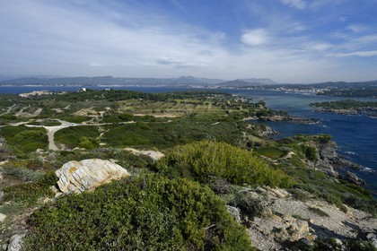 France, Var, Ile des Embiez, Pointe du Coucoussa, in the background Six-Fours-les-Plages on the mainland