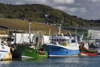 France, Seine-Maritime (76), Pays de Caux, Côte d'Albâtre, Fécamp, chalutiers dans le port de pêche