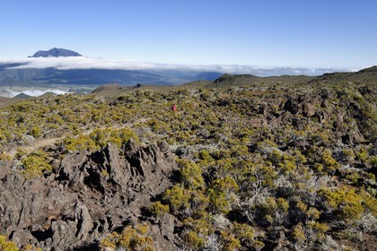 France, Ile de la Reunion, Parc National de la Réunion classé Patrimoine Mondial de l'UNESCO, sur les pentes du volcan de Piton de la Fournaise, randonneur sur le sentier de l'oratoire Ste Thérèse au dessus de la Plaine des Sables, le Piton des Neiges en arrière plan au nord