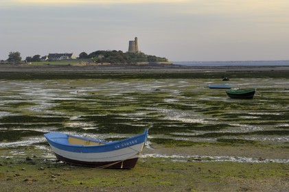France, Manche (50), Val de Saire, région de Saint-Vaast-la-Hougue, fort de la Hougue Vauban classé Patrimoine mondial par l'UNESCO depuis la plage de Morsalines