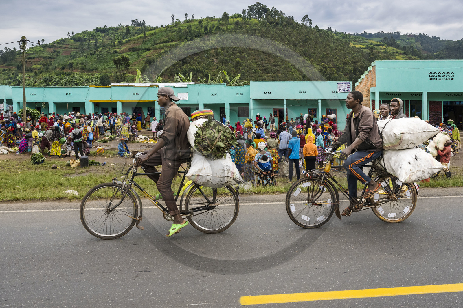 Rwanda, Province du Nord, District de Musanze (Ruhengeri), jour de marché à Muryabazira sur la Route Nationale 4 entre Kigali et Ruhengori, transport de gros sacs sur une bicyclette, les bicyclettes sont le principal moyen de transport local