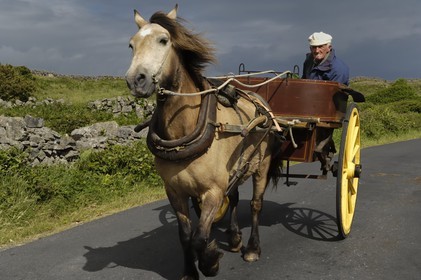 Irlande, Comté de Galway, Aran Islands, Inishmore, homme d'Aran sur sa calèche
