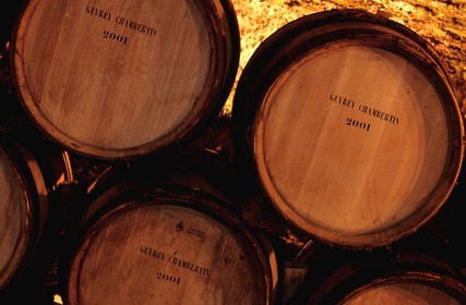 France, Côte-d'Or (21), tonneau de vin de Gevrey-Chambertin