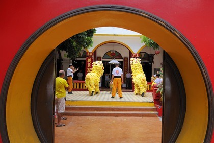 France, Reunion island (French overseas department), Saint-Pierre, traditional dragon danse for the chinese new year celebrations in a temple