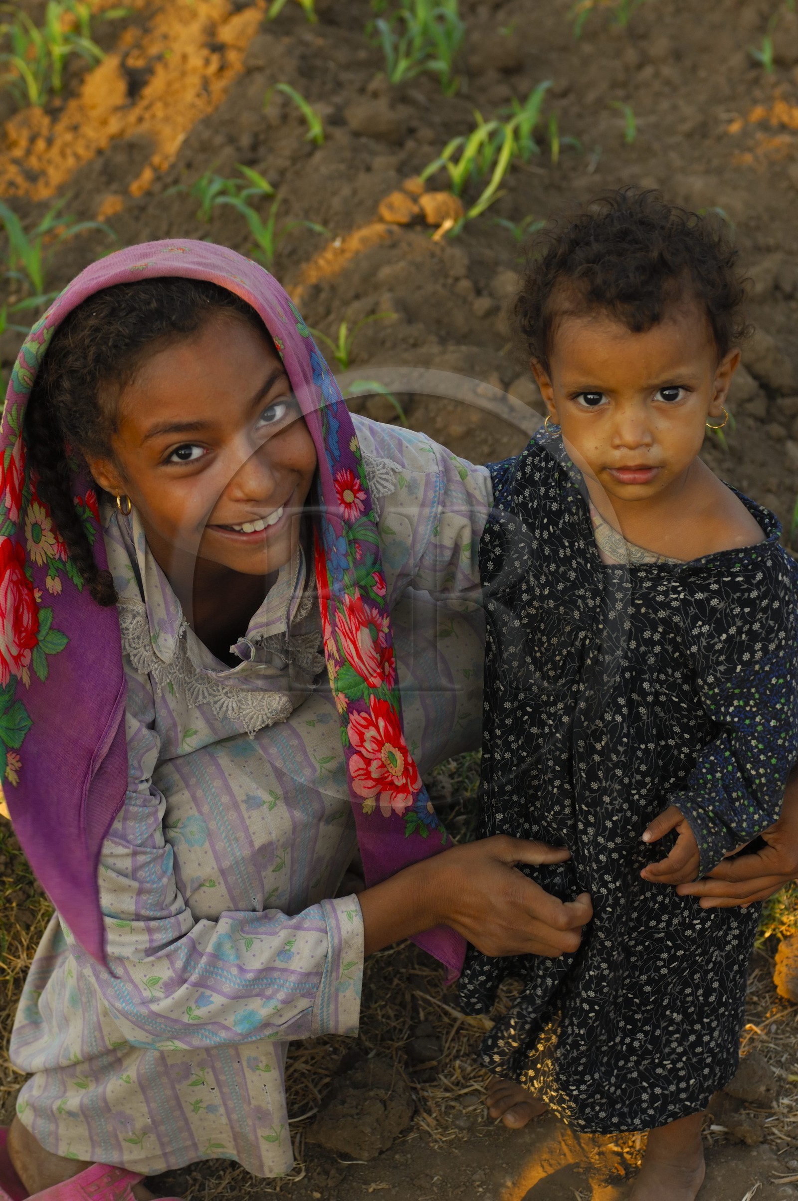 Egypte, Haute Egypte, vallée du Nil, Louxor, la rive ouest, enfants dans un champ