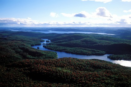 Canada, Quebec Province, La Verendrye Wildlife Reserve (aerial view)
