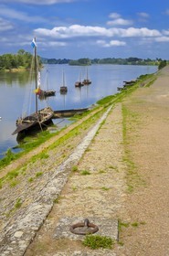 France, Indre et Loire, Loire Valley listed as World Heritage by UNESCO, edges of the Loire river in Brehemont port