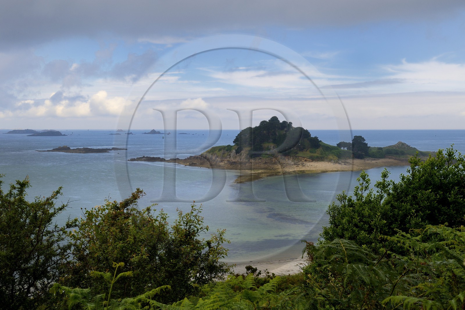 France, Finistère (29), Baie de Morlaix, Terenez, Ile Sterec
