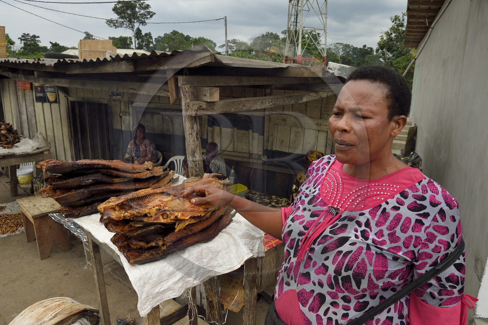 Gabon, Province de Moyen-Ogooué, étal de poissons Capitaine sechés sur la Route National 1