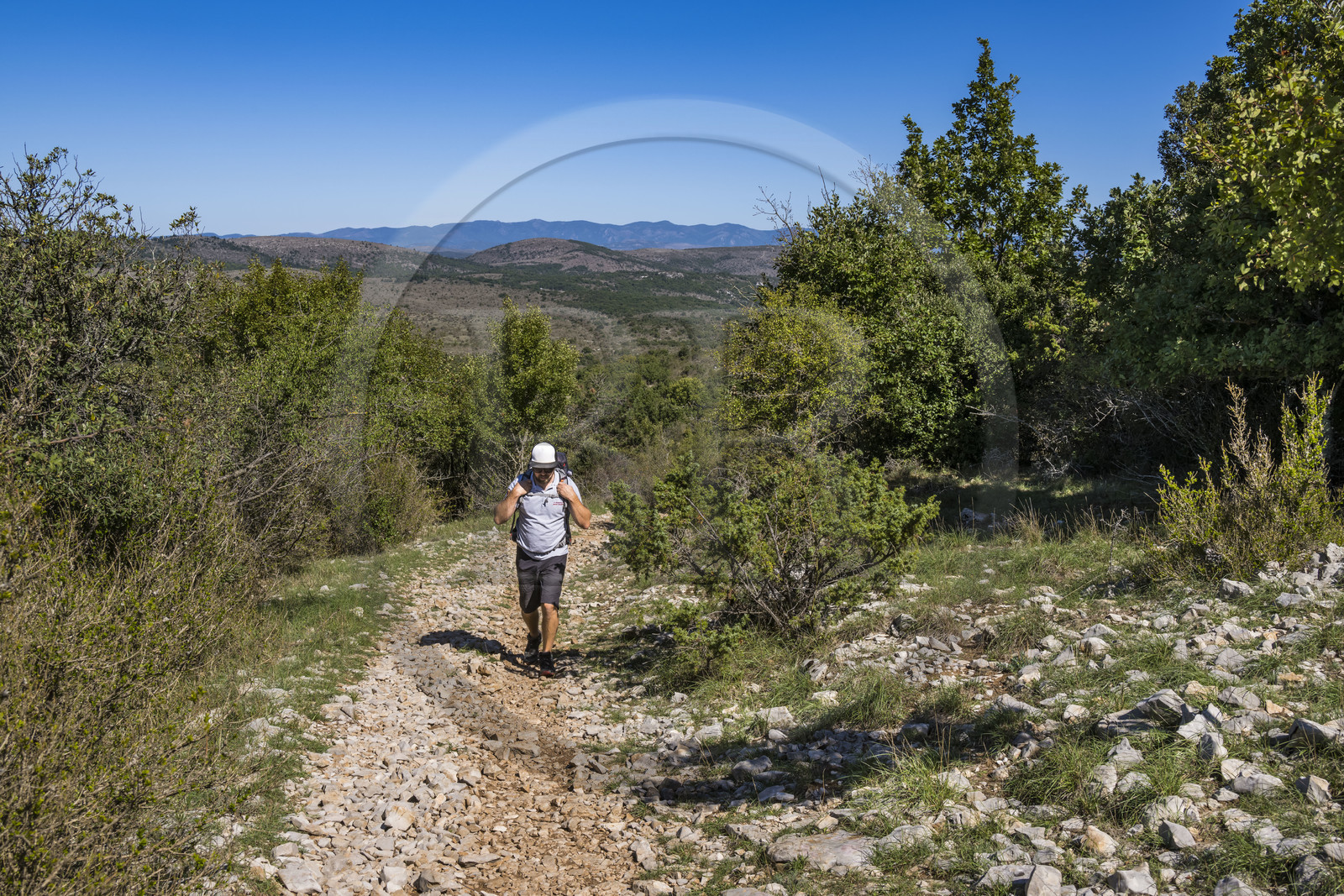 France, Hérault (34), les Causses et les Cévennes, paysage culturel de l'agro-pastoralisme méditerranéen inscrit au Patrimoine Mondial de l'UNESCO, Saint-Privat, randonneur sur le sentier montant au Mont Saint Baudille et en direction de Saint-Guilhem-le-Désert