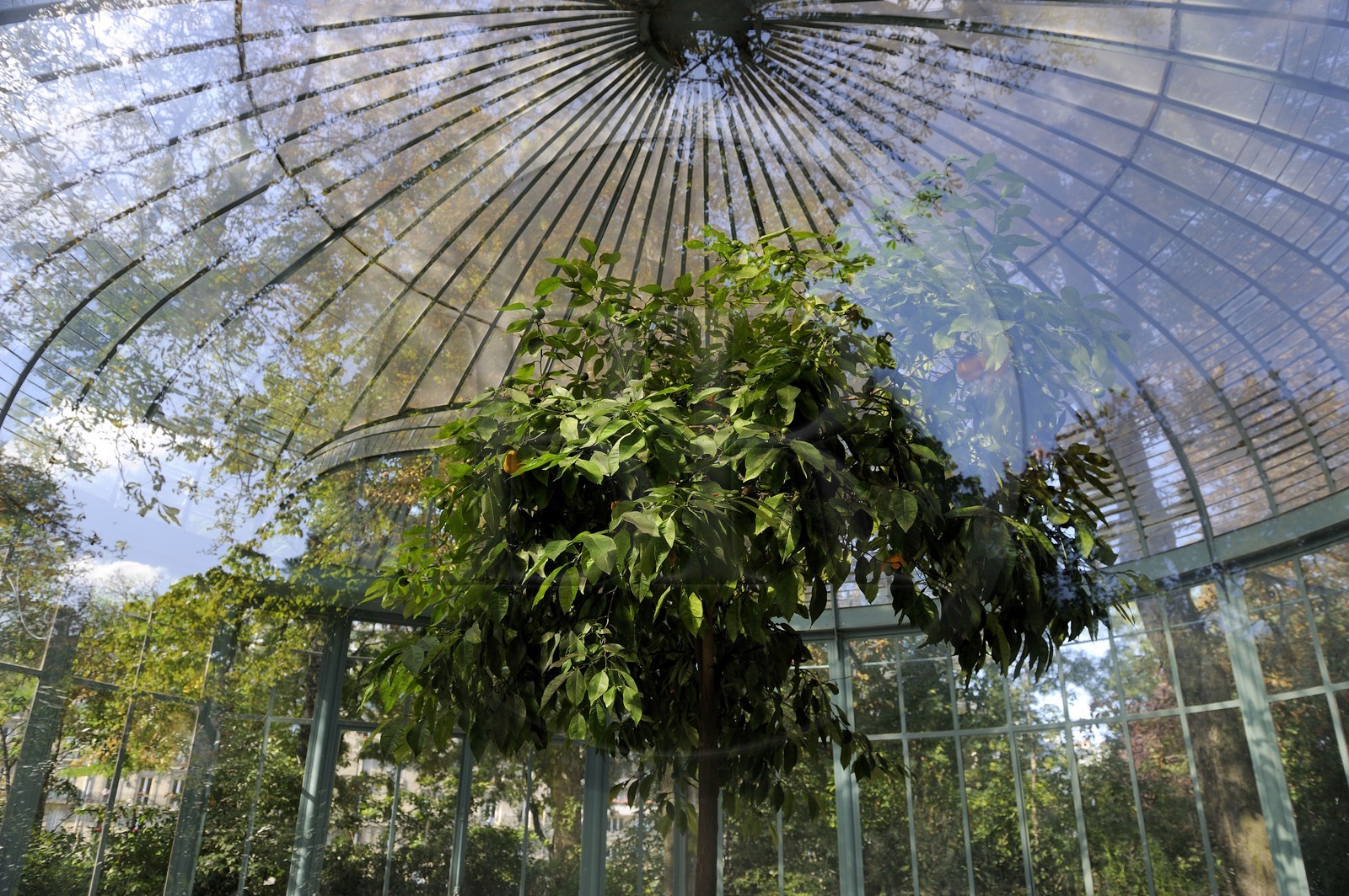 France, Paris (75), square des Batignolles, kiosque
