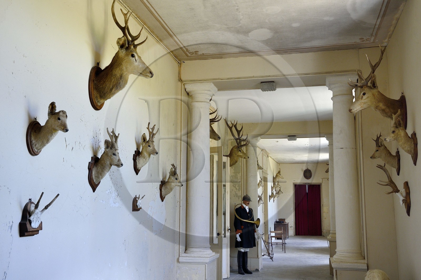 France, Charente-Maritime (17), Saintonge, Port-d'Envaux, Chateau de Panloy, la galerie de chasse avec les trophées