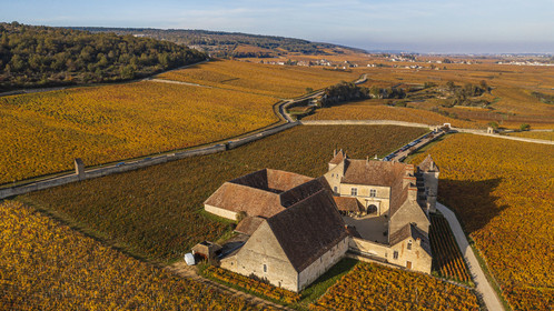 France, Cote d'Or, cultural Landscape of the climates of Burgundy listed as World Heritage by UNESCO, Vougeot, Route des Grands Crus (road of Vintage Wines), the vineyard and the Chateau du Clos de Vougeot (aerial view)