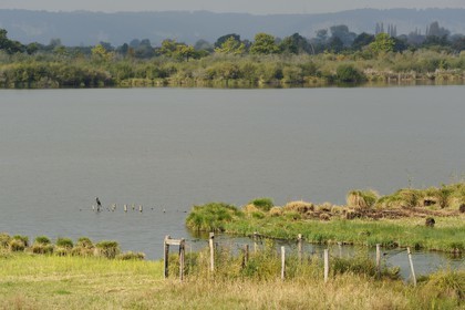 France, Eure (27), Marais-Vernier, la Grande Mare