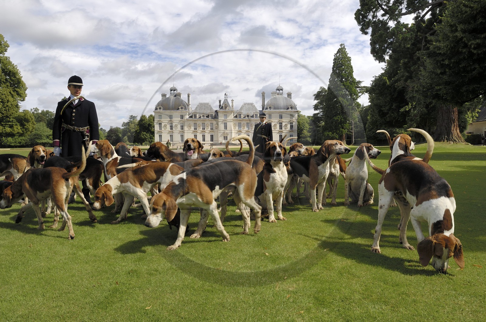 France, Loir-et-Cher (41), château de Cheverny, les piqueux Vol au Vent et La Rosée qui gèrent la meute de 90 chiens de chasse à cour