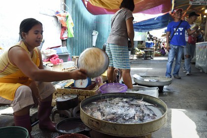 Philippines, province of Tarlac, Victoria, the market, sale of live fish