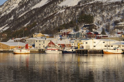 Norvège, Nordland, iles des Westeralen, port de Myre