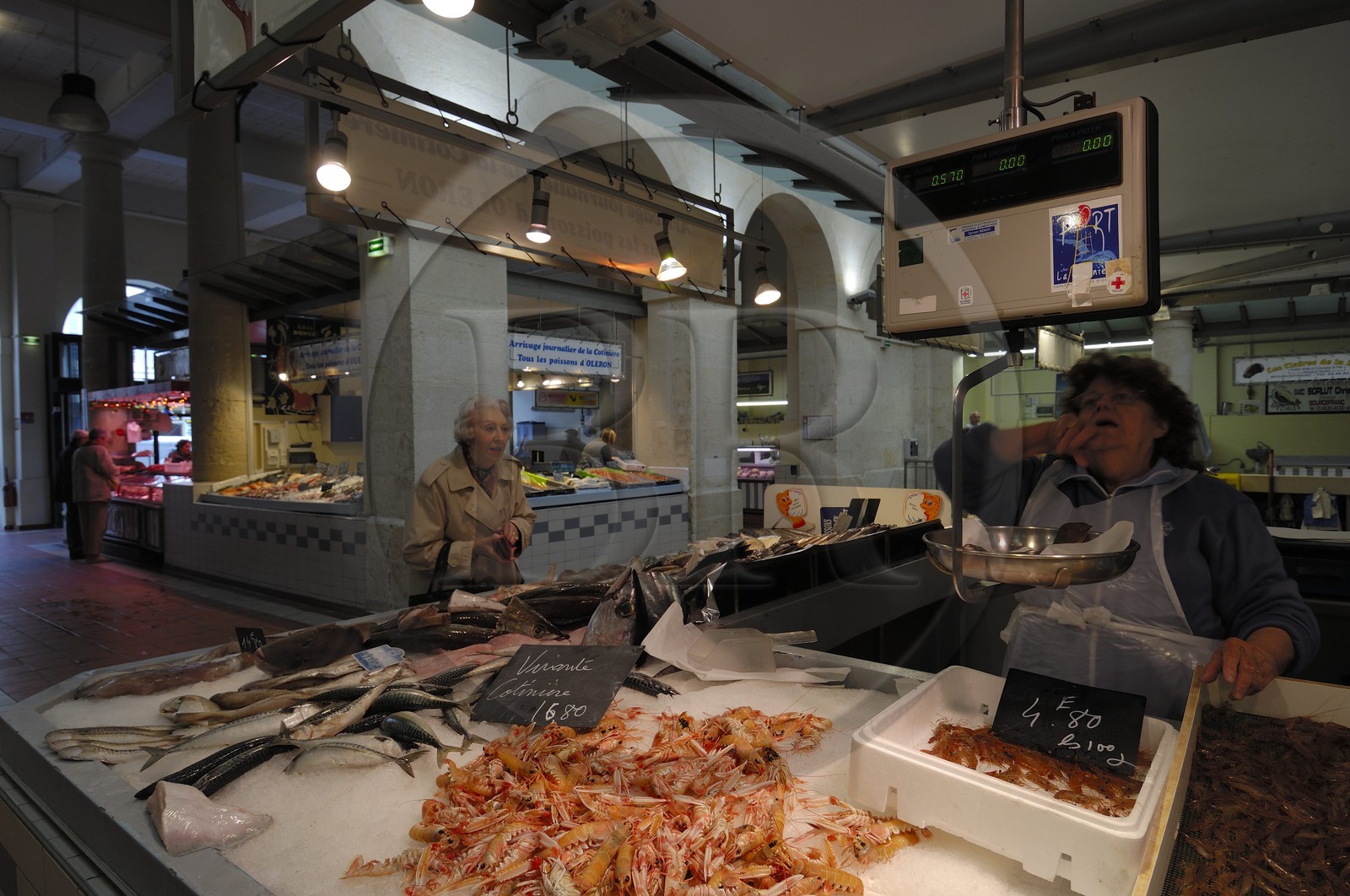 France, Charente-Maritime (17), Rochefort, le marché couvert et palais des congrés